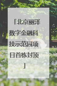 北京丽泽数字金融科技示范园项目首栋封顶