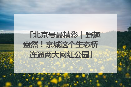 北京号最精彩|野趣盎然!京城这个生态桥连通两大网红公园