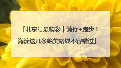 北京号最精彩|骑行+跑步!海淀这几条绝美路线不容错过