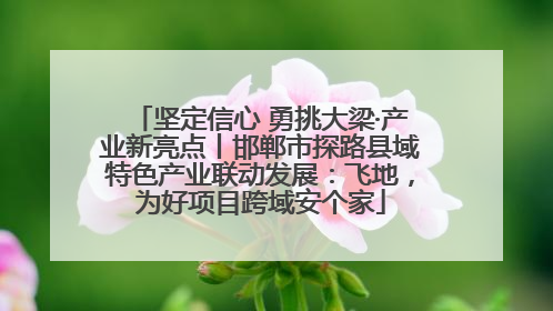 坚定信心 勇挑大梁·产业新亮点丨邯郸市探路县域特色产业联动发展：飞地，为好项目跨域安个家