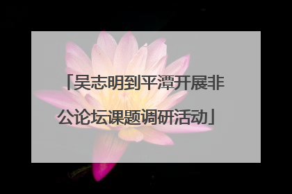 吴志明到平潭开展非公论坛课题调研活动