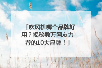 吹风机哪个品牌好用？揭秘数万网友力荐的10大品牌！