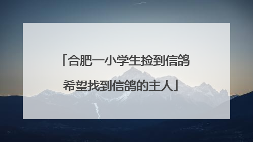 合肥一小学生捡到信鸽 希望找到信鸽的主人