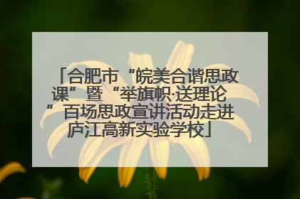 合肥市“皖美合谐思政课”暨“举旗帜·送理论”百场思政宣讲活动走进庐江高新实验学校