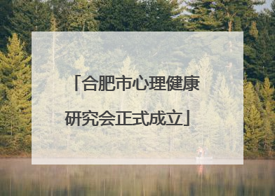 合肥市心理健康研究会正式成立