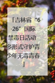 吉林省“6·26”国际禁毒日活动 多形式守护青少年无毒青春