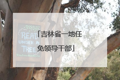 吉林省一地任免领导干部