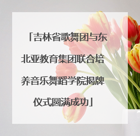 吉林省歌舞团与东北亚教育集团联合培养音乐舞蹈学院揭牌仪式圆满成功