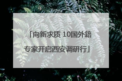 向新求质 10国外籍专家开启西安调研行
