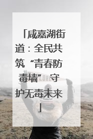 咸嘉湖街道：全民共筑“青春防毒墙” 守护无毒未来