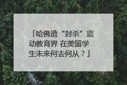 哈佛遭“封杀”震动教育界 在美留学生未来何去何从？