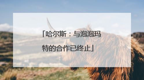 哈尔斯：与泡泡玛特的合作已终止