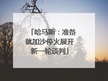 哈马斯：准备就加沙停火展开新一轮谈判