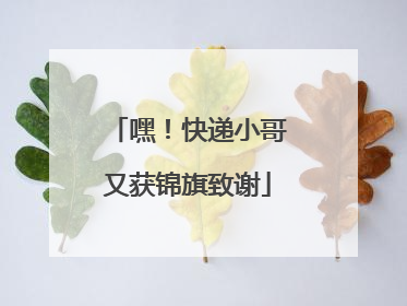 嘿！快递小哥又获锦旗致谢