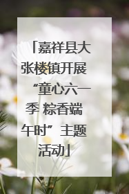 嘉祥县大张楼镇开展“童心六一季 粽香端午时”主题活动