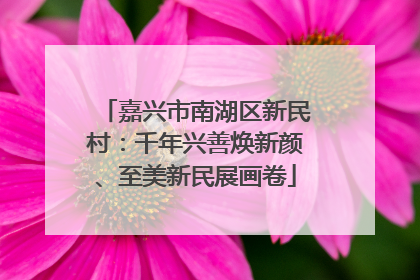嘉兴市南湖区新民村：千年兴善焕新颜、至美新民展画卷