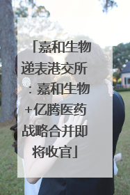 嘉和生物递表港交所：嘉和生物+亿腾医药战略合并即将收官