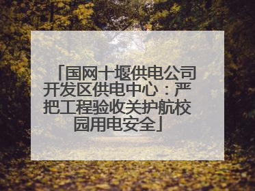 国网十堰供电公司开发区供电中心：严把工程验收关护航校园用电安全