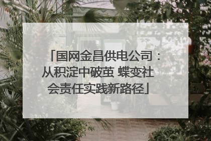 国网金昌供电公司：从积淀中破茧 蝶变社会责任实践新路径