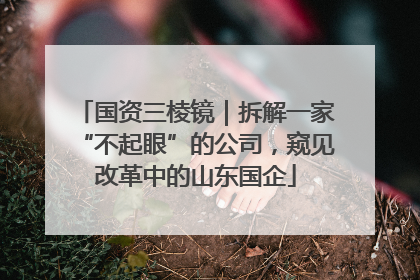 国资三棱镜｜拆解一家“不起眼”的公司，窥见改革中的山东国企