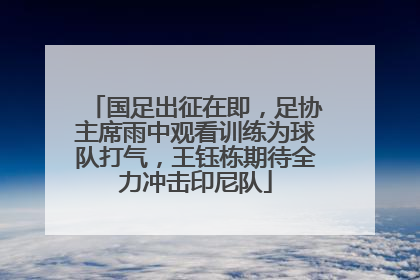 国足出征在即，足协主席雨中观看训练为球队打气，王钰栋期待全力冲击印尼队