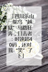 四川乐山一鸵鸟“越狱”马路狂奔，目击者：时速超40码，还对我“笑”了下