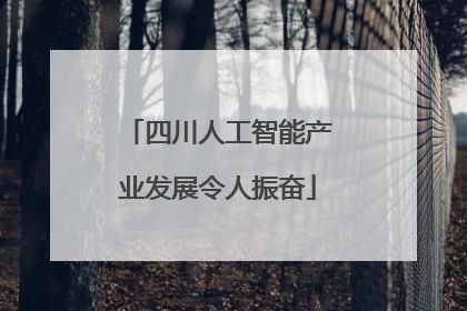 四川人工智能产业发展令人振奋