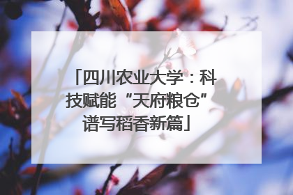 四川农业大学：科技赋能“天府粮仓”谱写稻香新篇