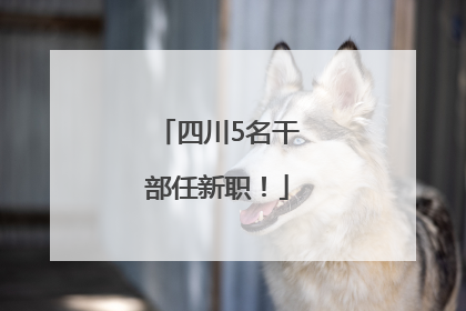 四川5名干部任新职！