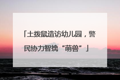 土拨鼠造访幼儿园，警民协力智擒“萌兽”