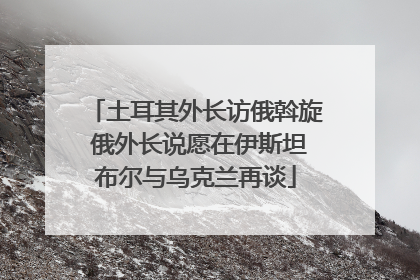 土耳其外长访俄斡旋 俄外长说愿在伊斯坦布尔与乌克兰再谈