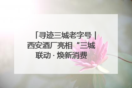 寻迹三城老字号｜西安酒厂亮相“三城联动 · 焕新消费”老字号嘉年华 共话品牌传承与创新