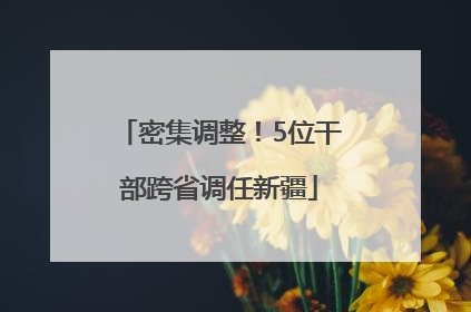 密集调整！5位干部跨省调任新疆