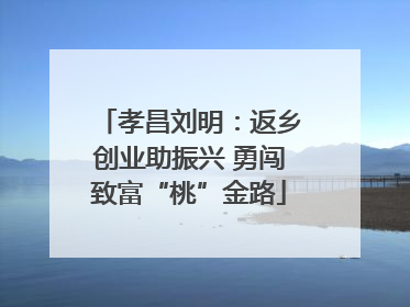 孝昌刘明：返乡创业助振兴 勇闯致富“桃”金路