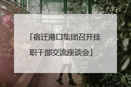 宿迁港口集团召开挂职干部交流座谈会