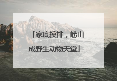 家底摸排，崂山成野生动物天堂