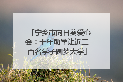 宁乡市向日葵爱心会：十年助学让近三百名学子圆梦大学