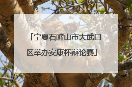 宁夏石嘴山市大武口区举办安康杯辩论赛