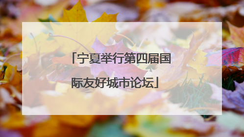 宁夏举行第四届国际友好城市论坛