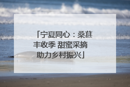 宁夏同心：桑葚丰收季 甜蜜采摘助力乡村振兴