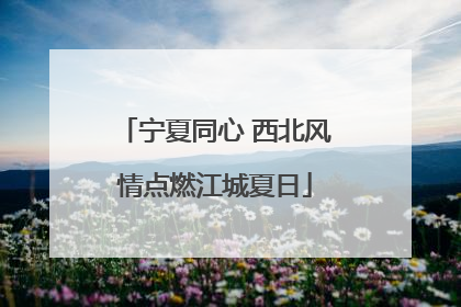 宁夏同心 西北风情点燃江城夏日