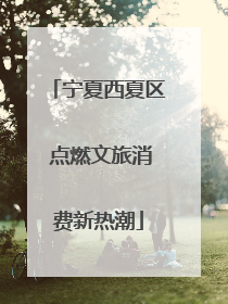 宁夏西夏区 点燃文旅消费新热潮
