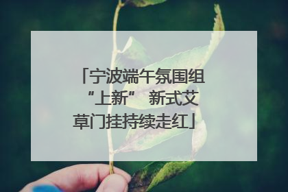宁波端午氛围组“上新” 新式艾草门挂持续走红
