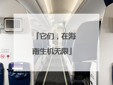 它们，在海南生机无限
