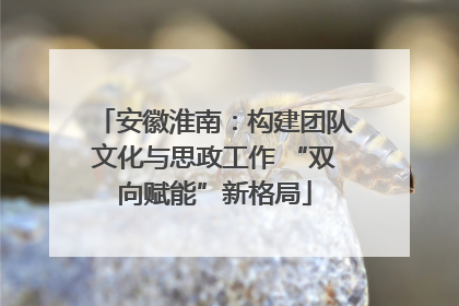 安徽淮南：构建团队文化与思政工作 “双向赋能”新格局