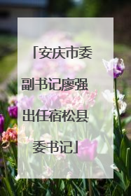 安庆市委副书记廖强出任宿松县委书记