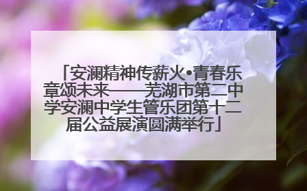 安澜精神传薪火•青春乐章颂未来——芜湖市第二中学安澜中学生管乐团第十二届公益展演圆满举行