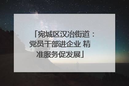宛城区汉冶街道：党员干部进企业 精准服务促发展