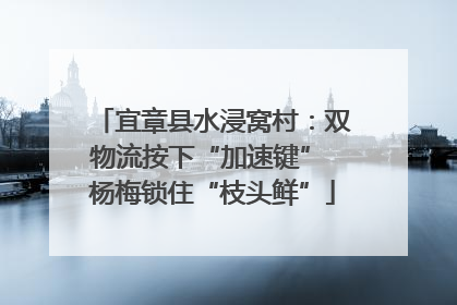 宜章县水浸窝村：双物流按下“加速键” 杨梅锁住“枝头鲜”