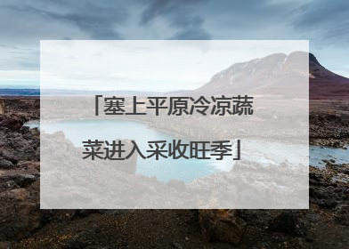 塞上平原冷凉蔬菜进入采收旺季